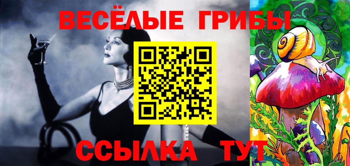 Псилоцибиновые грибы мицелий  Псилоцибиновые грибы мицелий  Урус-Мартан  Вход с VPN 