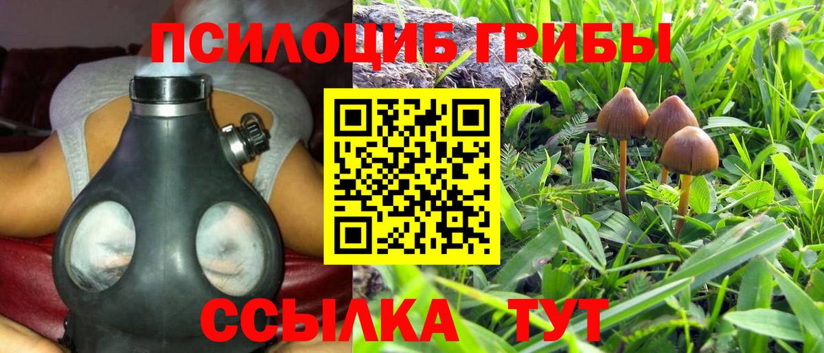 Галлюциногенные грибы Cubensis Урус-Мартан